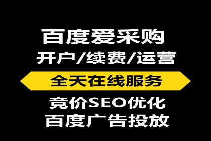 SEM服务公司经典案例集锦